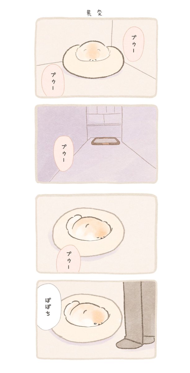 poko_popochi's tweet photo. ふわふわポメのぽぽち続編〜まとめ後編 （1/7） https://t.co/rzUCOWzfgN