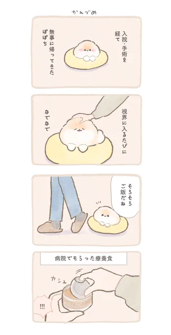 ふわふわポメのぽぽち続編〜まとめ後編 (7/7) 
