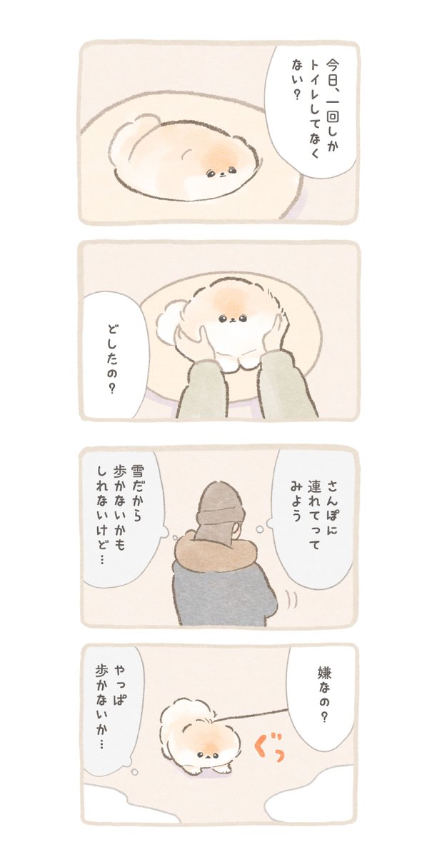 poko_popochi's tweet photo. ふわふわポメのぽぽち続編〜まとめ後編 （1/7） https://t.co/rzUCOWzfgN