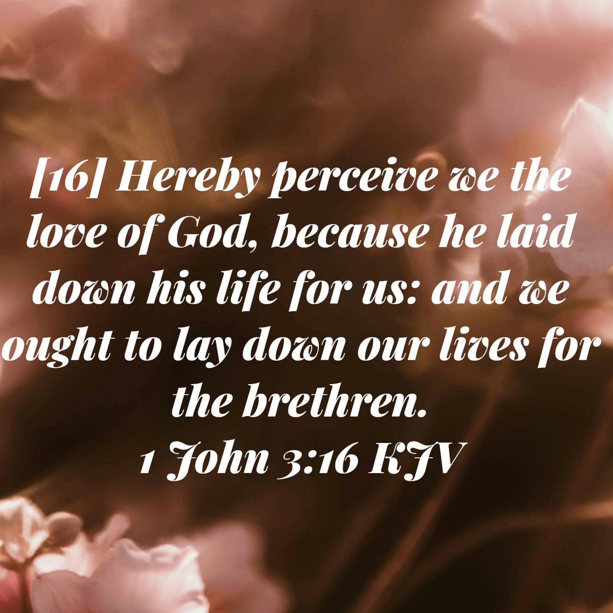 LaShandraEdmo10's tweet image. 1 John 3:16 KJV
[16] Hereby perceive we the love of God, because he laid down his life for us: and we ought to lay down our lives for the brethren. 
#God #perceived #sacrifice #love #Jesus #brethren 
bible.com/bible/1/1jn.3.…