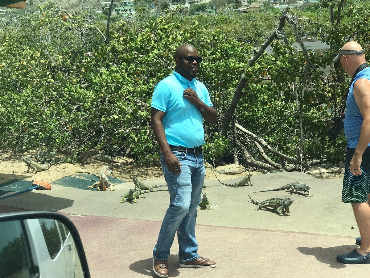 Silverline_Tour's tweet photo. Explore Sint Maarten with Silverline Tours and Transportation! Enjoy reliable and comfortable tours and transfers. Book your service today at SilverlineToursXM! Book now at: https://t.co/u2Y9CepO0Q
#SilverlineTours #SXM #Tours #Transportation https://t.co/g97v2rMmYp