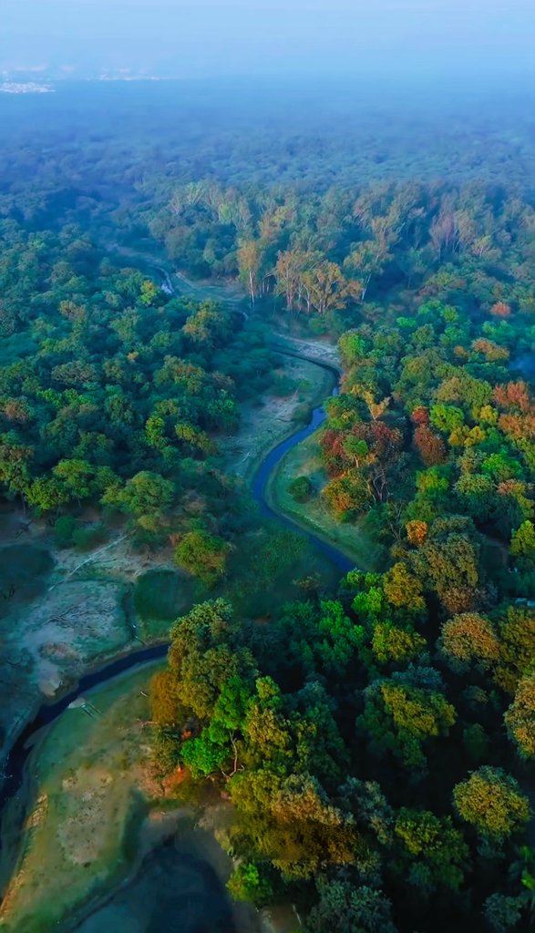 Issaraditi's tweet photo. The project will feature 38 types of animal enclosures, an amusement activity area, administration block, 7D theater.

Environmentalists urge NGT to stop zoo relocation to Kukrail. Captive animals risk stress &amp; harm.

#SaveKukrail https://t.co/GTp7W1US4y