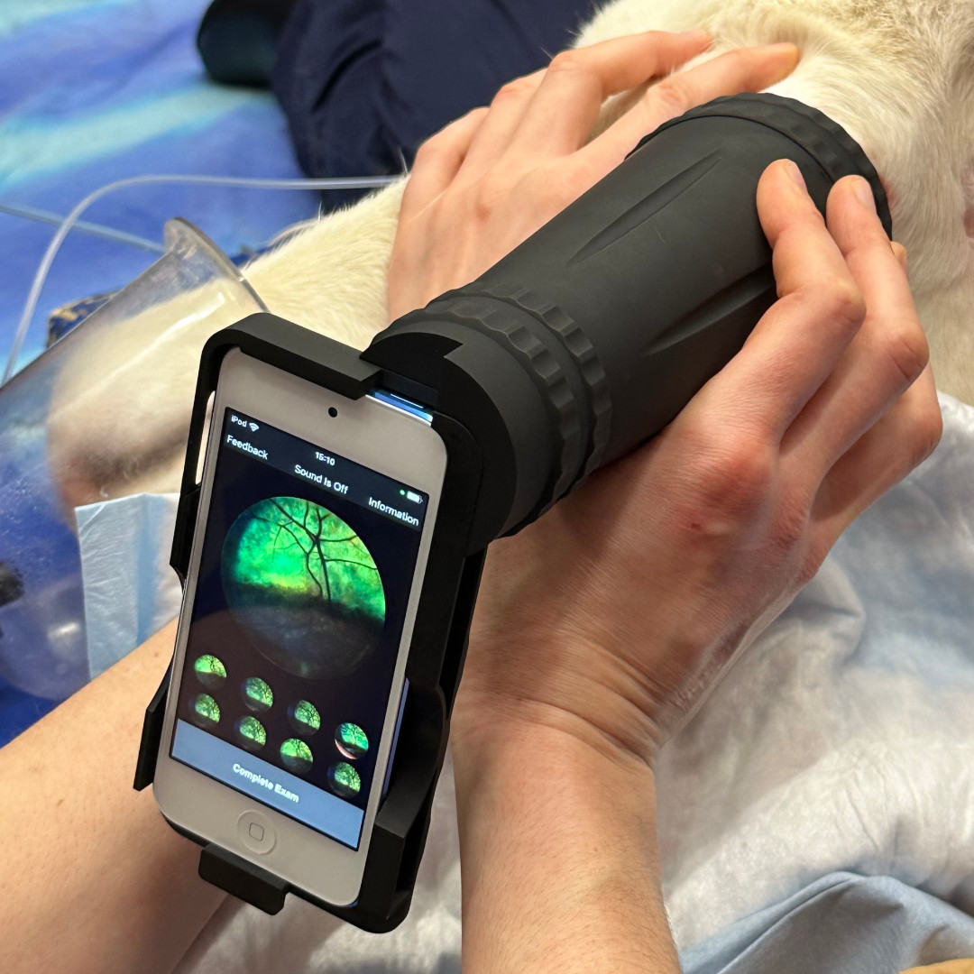 Are you visiting #Christmas markets in and around #Hertfordshire this month? Well, look out for Snowflake the #reindeer! She’s survived #cancer twice, thanks to the RVC’s expertise. To read the full story see page six of Paws &amp; Hooves rvcact.com/PawsAndHoovesA…  <a href="/RoyalVetCollege/">Royal Veterinary College (RVC)</a>