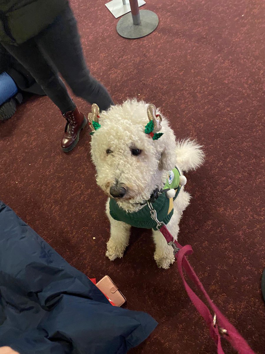 Dr. Irene Hartigan (@ihartigan) on Twitter photo Thank you to all who visited to say hello to Jackie and Ruth🐾 <a href="/uccnursmid/">UCC School of Nursing & Midwifery 🌈</a> & also to our colleagues <a href="/UCCLibrary/">UCC Library</a> <a href="/UCCResearch/">UCC Research</a> who are supporting the petting station in the Boole as students come and go from exams! #reducing cortisol increasing oxytocin <a href="/mycaninecompani/">My Canine Companion</a> Thank you to all who visited to say hello to Jackie and Ruth🐾 <a href="/uccnursmid/">UCC School of Nursing & Midwifery 🌈</a> & also to our colleagues <a href="/UCCLibrary/">UCC Library</a> <a href="/UCCResearch/">UCC Research</a> who are supporting the petting station in the Boole as students come and go from exams! #reducing cortisol increasing oxytocin <a href="/mycaninecompani/">My Canine Companion</a>