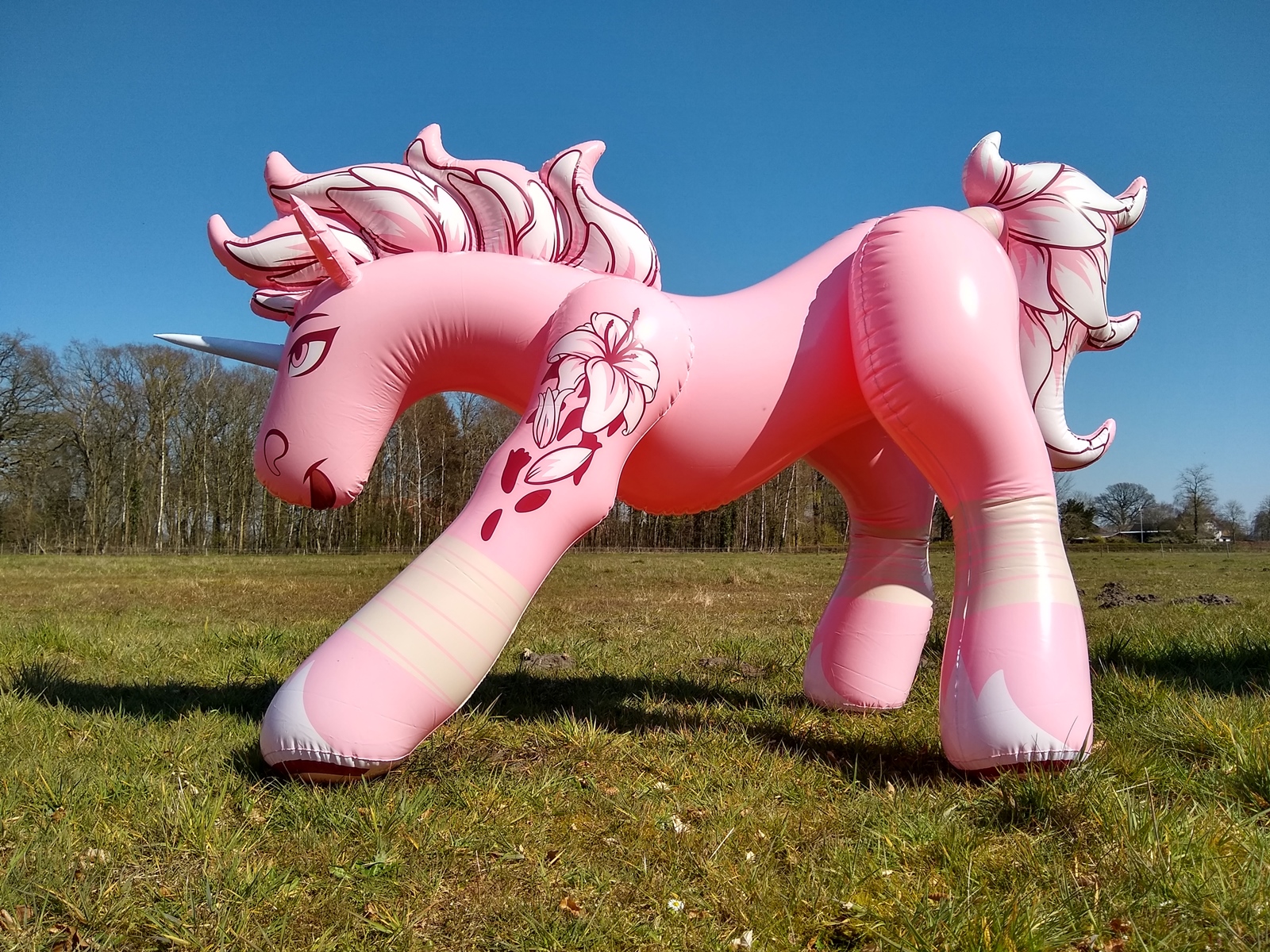 Horseplay toys hotsell