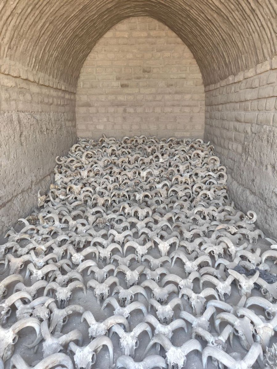 EscribaFrustrad's tweet image. Nothing eminently dark or demonic here, but for some reason this news made me remember you guys @nilecatacombs 

abc.net.au/news/2023-03-2…