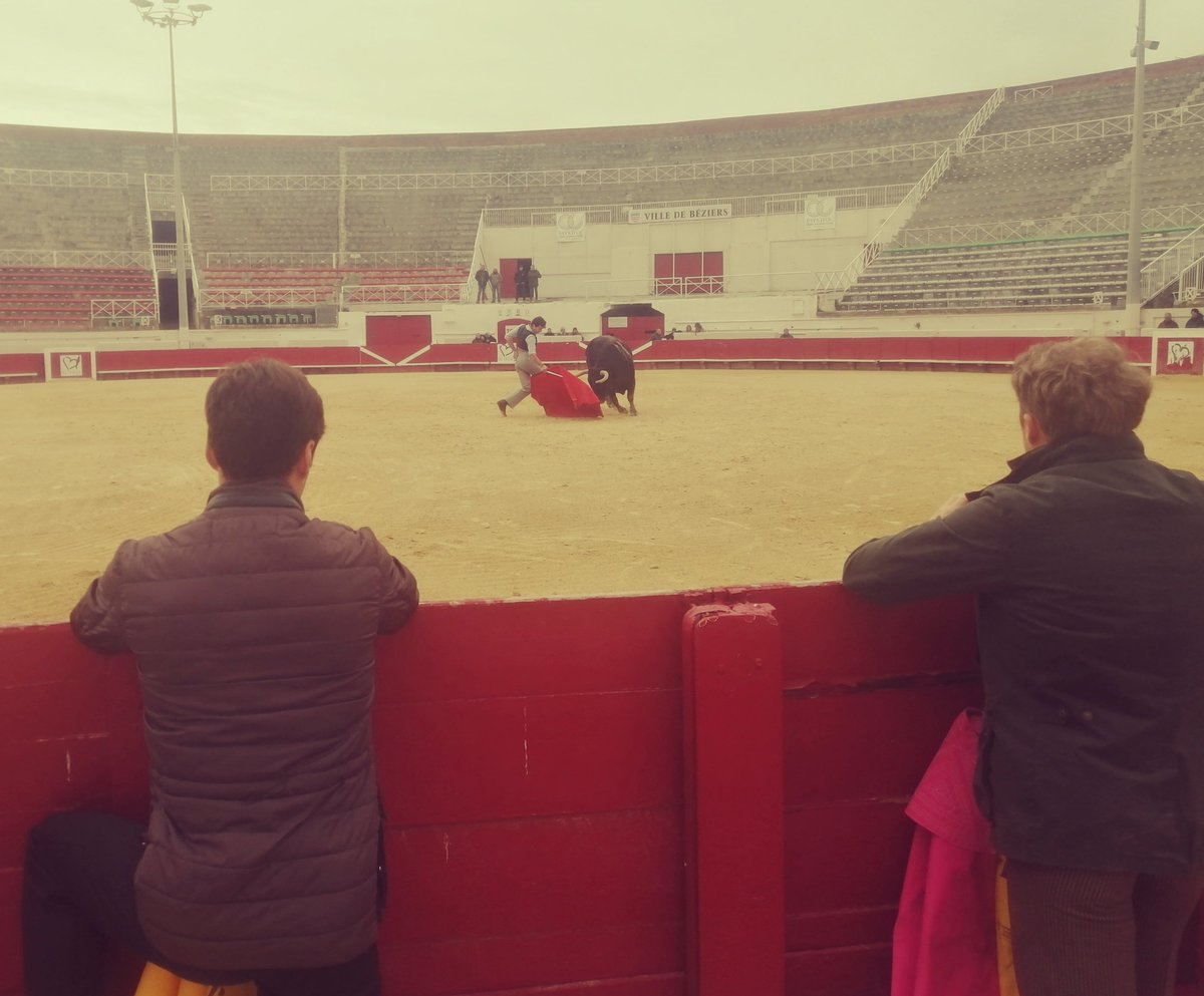 IloveCorrida's tweet photo. Le combo parfait. Carlos Olsina devant un toro de la ganaderia margé sous le regard de Christian parejo et Clémente aux arènes de beziers #tienta https://t.co/1lzdLeXswI