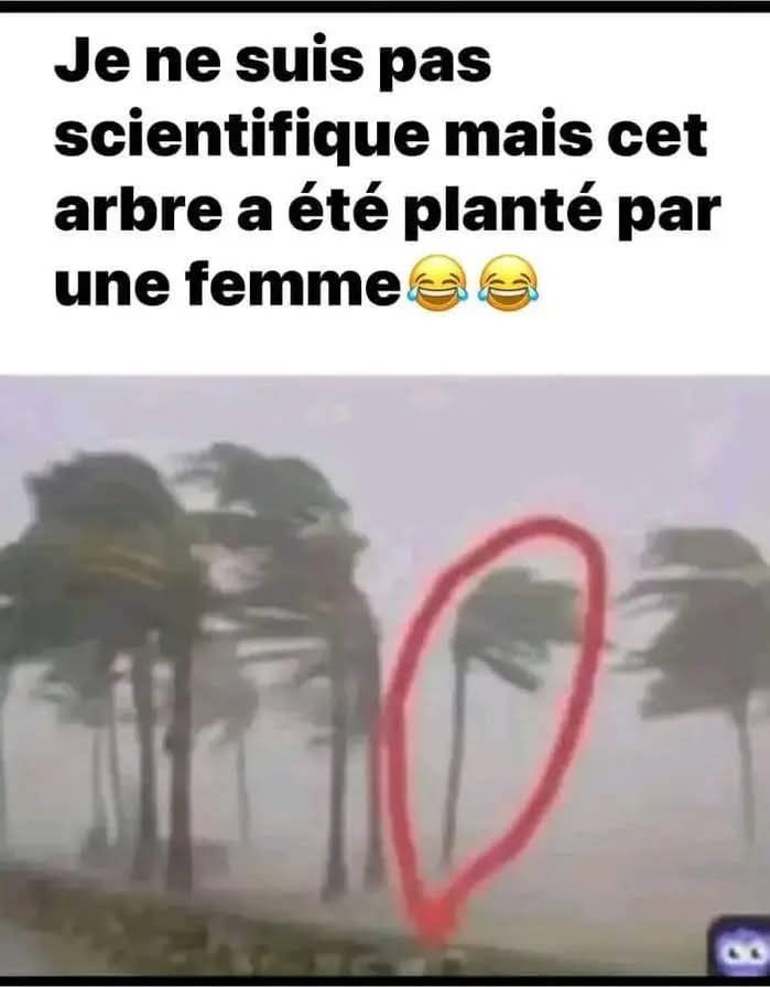 AuthentikBis's tweet image. 🤔🤷‍♂️