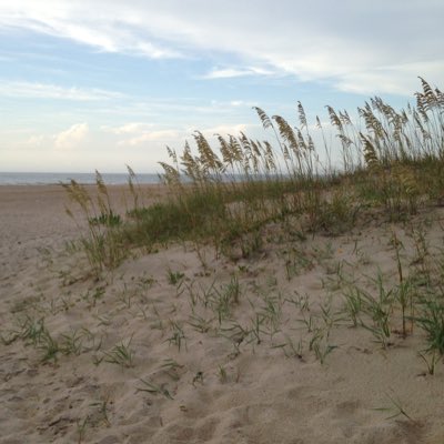 PawsitivePE's tweet photo. #NewProfilePic https://t.co/NIDjPqRsz5