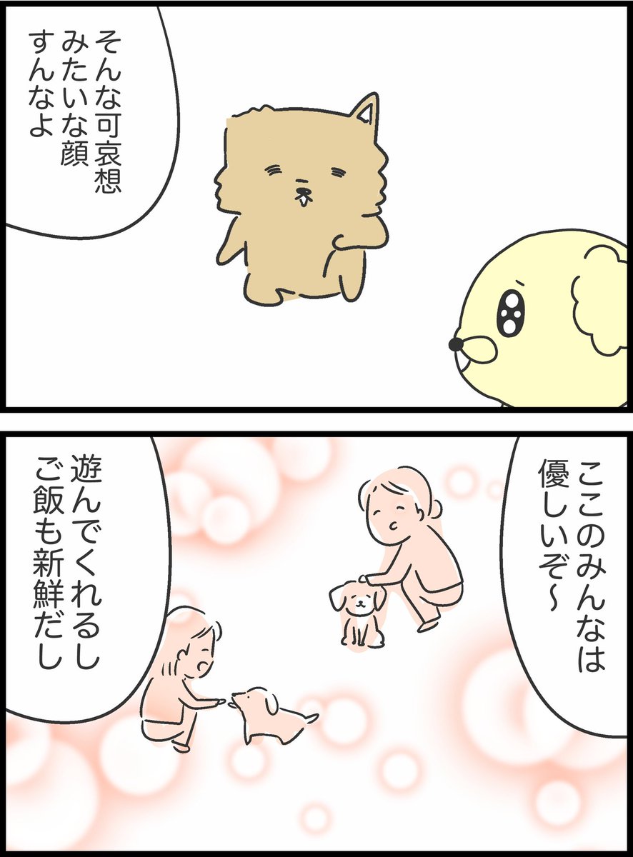 2/11 