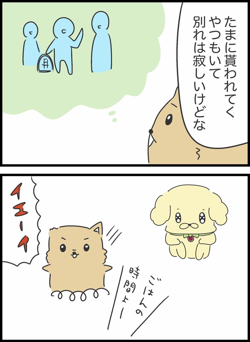 2/11 