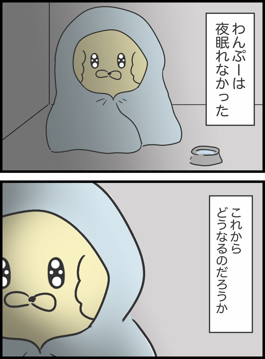2/11 
