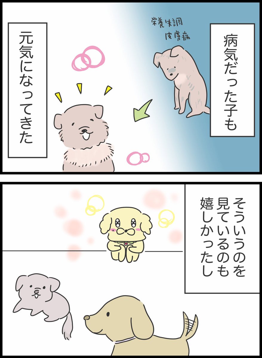 4/11 
