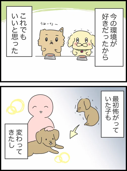 4/11 