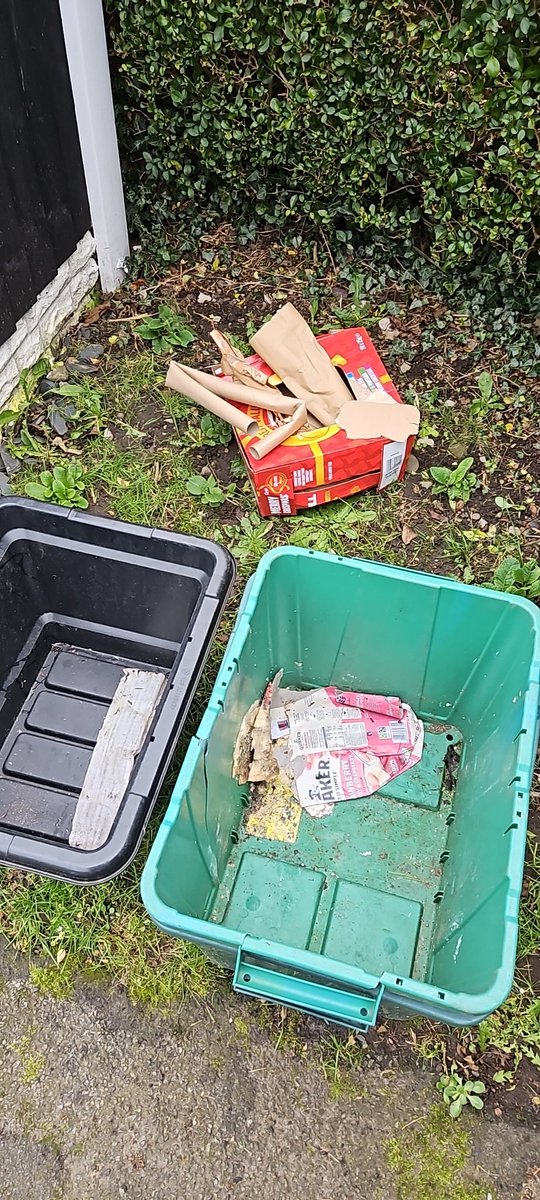 Nowak124Adam's tweet photo. @wrexham,nice to see wrexham council have emptied all tubs properly. https://t.co/nu4fT48QGG