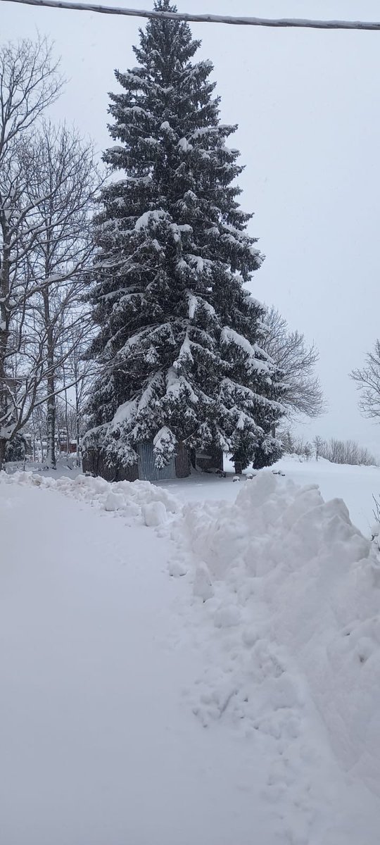 cadibicci's tweet photo. Finalmente è arrivata la @neve a @cadibicci ! ❄️❄️❄️⛄️

@ModenaDintorni @provinciamodena @ModenaToday @parcoappennino @FrignanoNews @appenninonews @pievepelagoinfo @modenanews https://t.co/mhfASExgH6