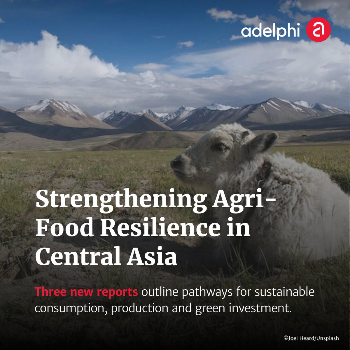 Agriculture is vital for Uzbekistan &amp; Tajikistan, but food insecurity &amp; import reliance make them vulnerable to climate change. The @switchasiaproject, led by adelphi research, supports MSMEs to adopt #SCP practices &amp; improve #cleantech finance access. adelph.it/lireap3reports