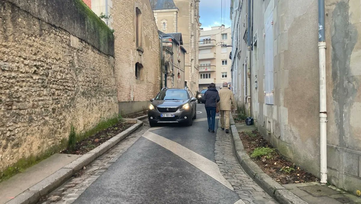 ToadVousEpie's tweet photo. À Poitiers, la mairie EELV a végetalisé certains trottoirs, obligeant ainsi les passants à marcher sur la chaussée.

Comment peut-on être à ce point dénué de bon sens ?!? https://t.co/3qAi0ETE3Q