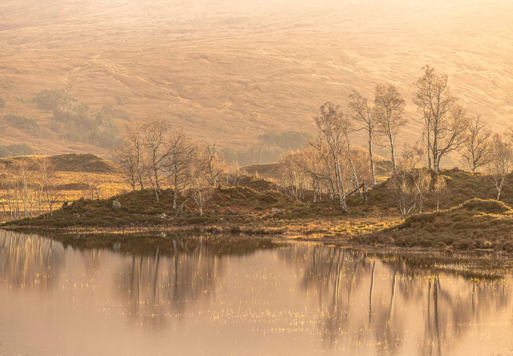 Fotospeed tweet media