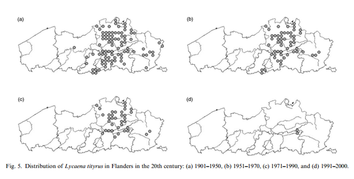 Wim Veraghtert tweet media