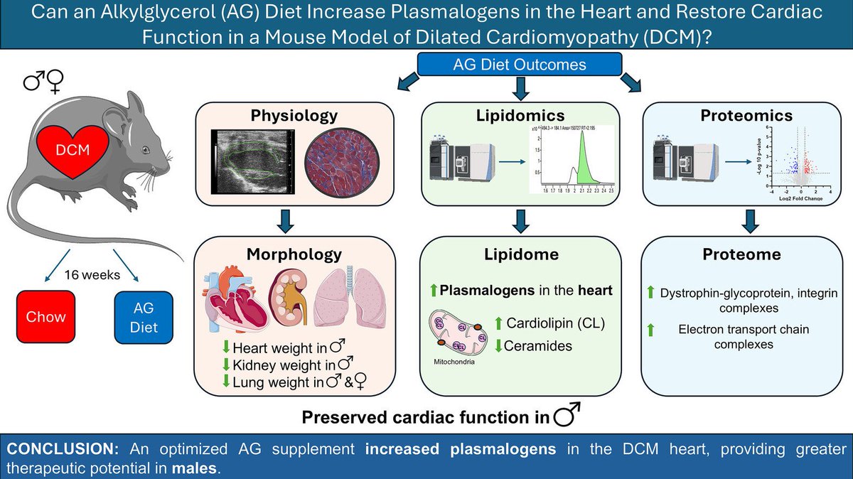 JMCC Plus (@jmccplus) on Twitter photo Congratulation to the authors on this great piece of work just published in our journal! Learn more about it in the thread below from <a href="/Dr_YKTham/">Yow Keat Tham, PhD</a>
#CardioTwitter <a href="/PavlovicDavor/">Davor Pavlovic</a> @Gundrylab <a href="/ISHR_ES/">ISHR European Section</a> <a href="/ISHR_AUS/">ISHR Australasian Section</a> <a href="/ISHR_NAS/">ISHR North American Section</a> <a href="/ECI_ISHR/">Early Career Investigators @ISHR North America</a> <a href="/ISHR_ECI/">ISHR International ECI Committee</a> Congratulation to the authors on this great piece of work just published in our journal! Learn more about it in the thread below from <a href="/Dr_YKTham/">Yow Keat Tham, PhD</a>
#CardioTwitter <a href="/PavlovicDavor/">Davor Pavlovic</a> @Gundrylab <a href="/ISHR_ES/">ISHR European Section</a> <a href="/ISHR_AUS/">ISHR Australasian Section</a> <a href="/ISHR_NAS/">ISHR North American Section</a> <a href="/ECI_ISHR/">Early Career Investigators @ISHR North America</a> <a href="/ISHR_ECI/">ISHR International ECI Committee</a>