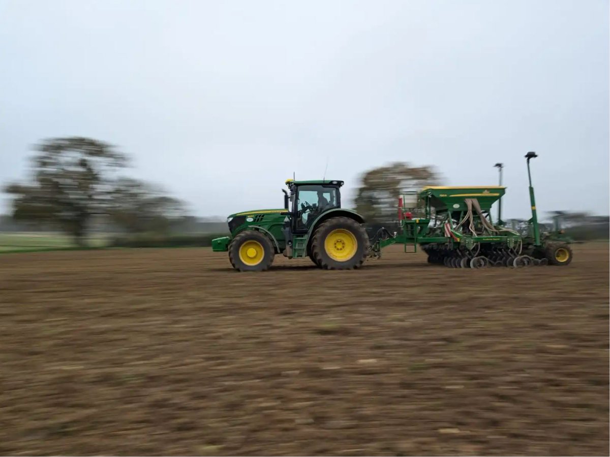 🌧️⛈️... the farm team will not be beaten by the weather. We had a long harvest and are now very behind on the autumn drilling but they're catching up. Just 5-6 field trials to go, hopefully this side of Christmas!

#farming #agriculture