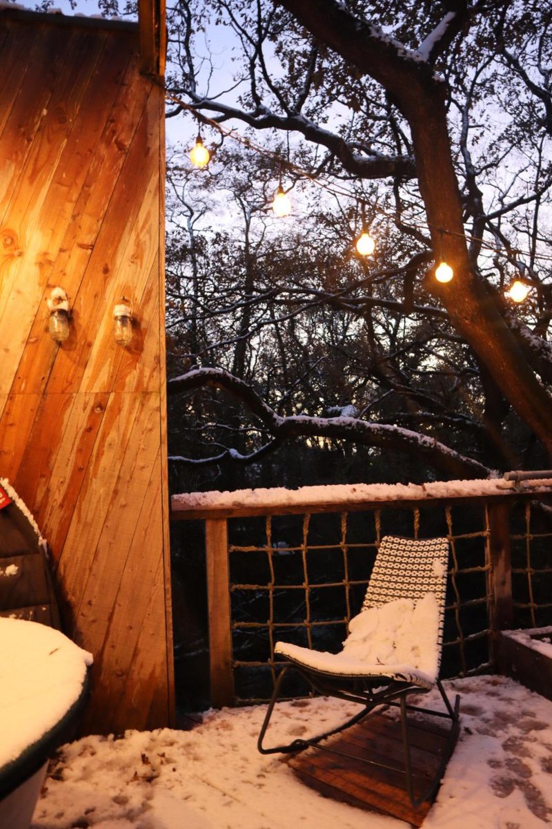 ❄️ Frosted Forest Moments ❄️

Cosy blankets, hot chocolate and the beauty of the forest touched by winter’s icy embrace 🌙✨
 
#WinterInTheWoods #FestiveWellness #TreehouseDreams #MallinsonsWoodlandRetreat #VisitDorset #ChristmasInTheWoods #December #Magic #WinterEscape