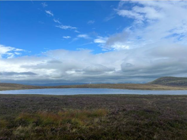 Glyndŵr's Way National Trail (@glyndwrsway) on Twitter photo Mae <a href="/katehumble/">Kate Humble</a> yn mynd â ni ar daith ar hyd #LlwybrGlyndŵr — 135 milltir o hanes, golygfeydd syfrdanol a llonydd ymhell o olwg y torfeydd.
Darllenwch fwy yma 👉 loom.ly/Lzr_yTM Mae <a href="/katehumble/">Kate Humble</a> yn mynd â ni ar daith ar hyd #LlwybrGlyndŵr — 135 milltir o hanes, golygfeydd syfrdanol a llonydd ymhell o olwg y torfeydd.
Darllenwch fwy yma 👉 loom.ly/Lzr_yTM