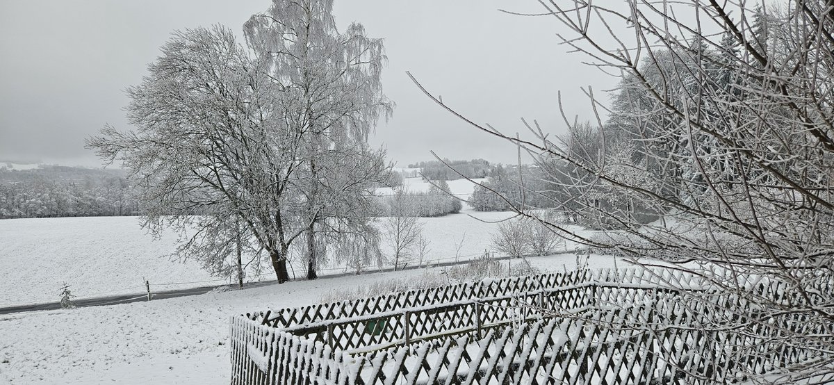 Im höheren Erzgebirge, wie hier in Annaberg-Buchholz, ist es weiterhin richtig winterlich mit einer geschlossenen Schneedecke. Danke an Jörg für die Bilder.

Handgemessene Schneehöhen aus dem Erzgebirge von heute früh:
kachelmannwetter.com/de/amateurstat… /LD