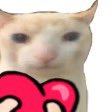 Fl0werCS's tweet photo. @smileybeef Happy for you two! ❤️ https://t.co/vJXgA4kzcP
