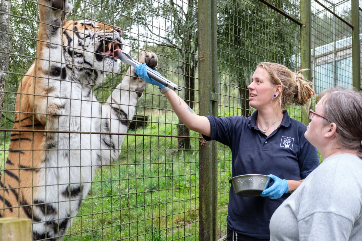 rzss's tweet photo. Struggling for gift ideas this Christmas? 🎄
 
Surprise your loved one with a WILD Keeper Experience! Join our expert keepers and get up close to our amazing animals.
 
Order your voucher now 🎁 https://t.co/Vn1ghNRp5m https://t.co/ZIqkV5Xd3o