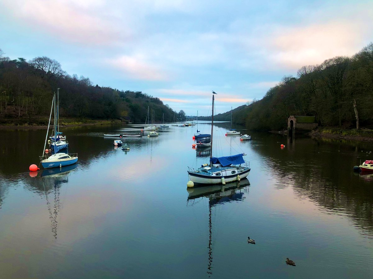 A lovely morning for an early walk at Rudyard Lake. Can you see the lesser-black backed gull sitting on top of the mast? Beautiful! ⛵️🥾