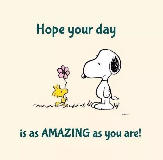 joanie_tweet's tweet photo. Donโt Let Someone Who
Doesnโt Know Your Value Tell You How Much Youโre Worth.
You are Priceless! ๐โค๏ธ๐ค
#YouarePriceless #YouareAmazing
#WednesdayFeelings https://t.co/reDWsqiYjF