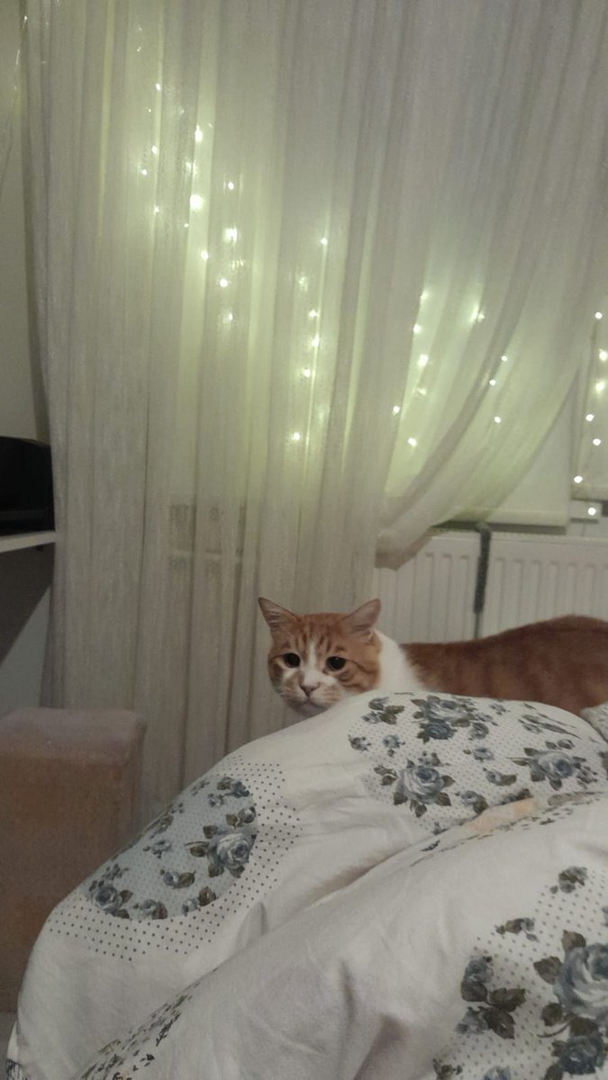 bu ışıltılı hayatı ben seçtim vol2