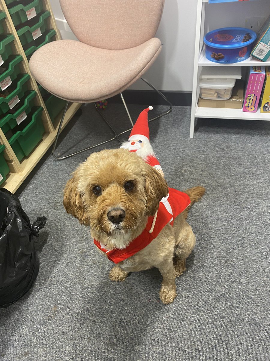 CCHS Building Resilience tweet media