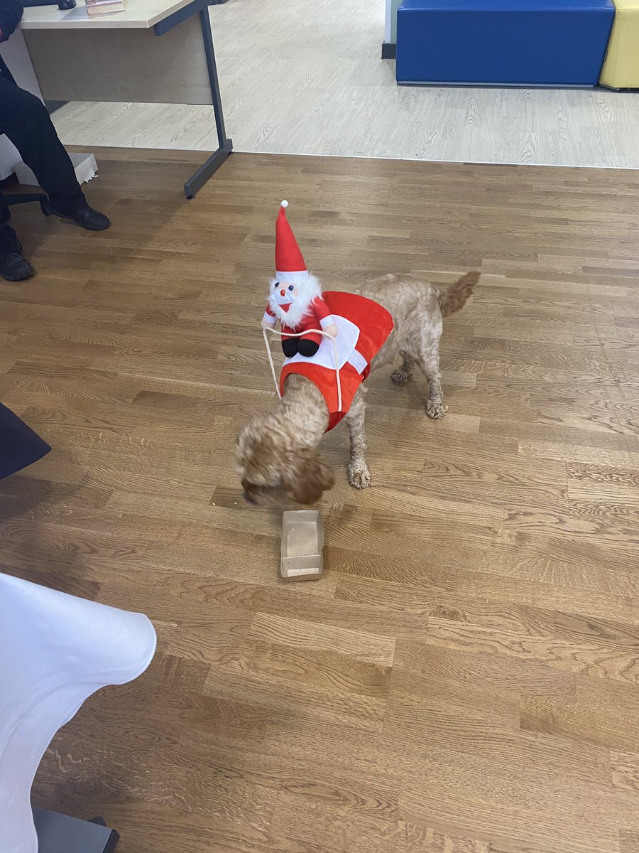 CCHS Building Resilience tweet media