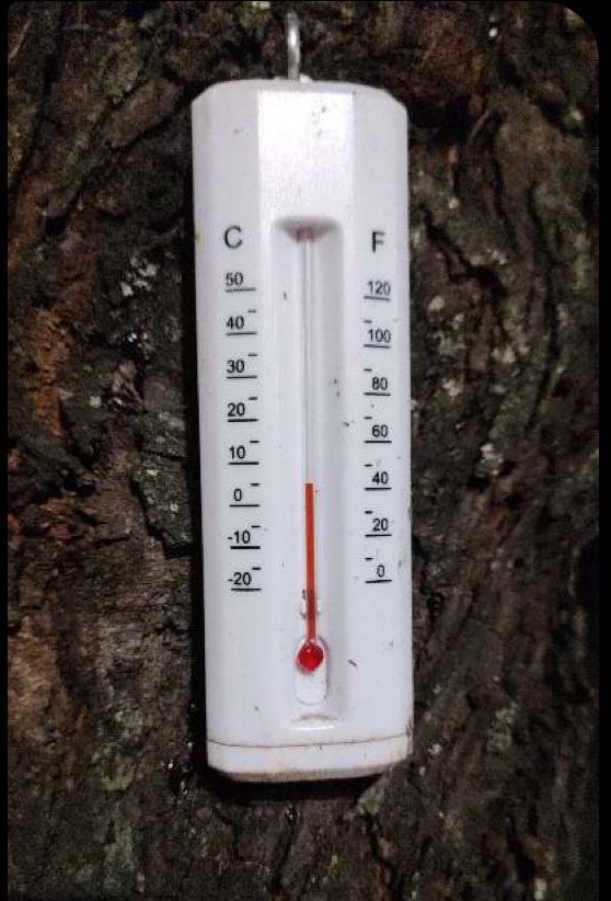MauroMoralesMtz's tweet photo. Temperatura de 5c en #Atongo de abajo, cortesía de Miguel Corona, misma temperatura en el @AeropuertoDeMTY. https://t.co/s4uaRdWo0g