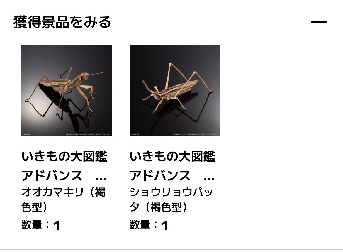 S_texcy's tweet photo. 大勝利しましたよ https://t.co/b3XcjN6P66