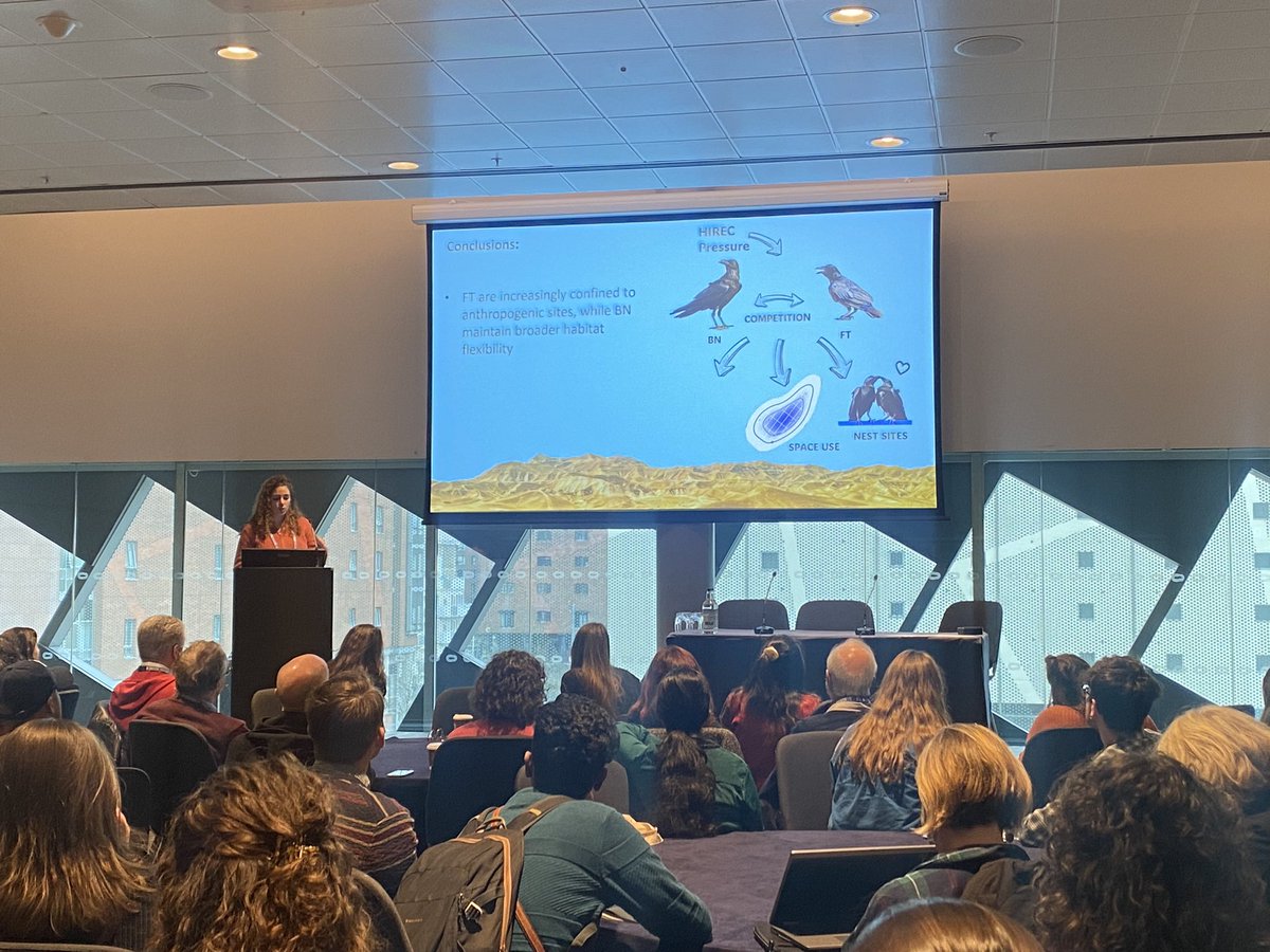 Favourite talk of the morning was Rachel Zuckermans fantastic presentation on interspecific competition in desert ravens - great slides, engaging content, and awesome to see deserts represented! #BES2024