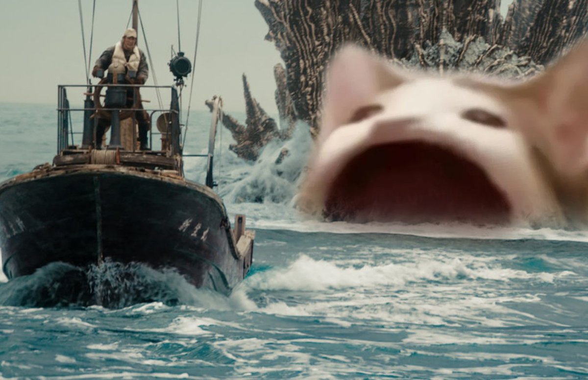 You can trade <a href="/POPCATSOLANA/">$POPCAT</a> on Mango this week to enter our reward program! Claims on Monday.
    
Eligible activities for $POPCAT include: 
🐱Spot &amp; Perps Trading 
🥭Borrow &amp; Lend
🎉Swaps