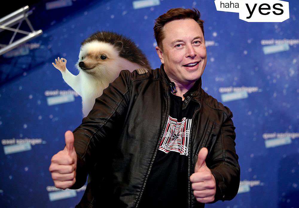 GM to all who are ready to flyyyyy! 🦔🚀

Wednesday magic incoming ✨✨