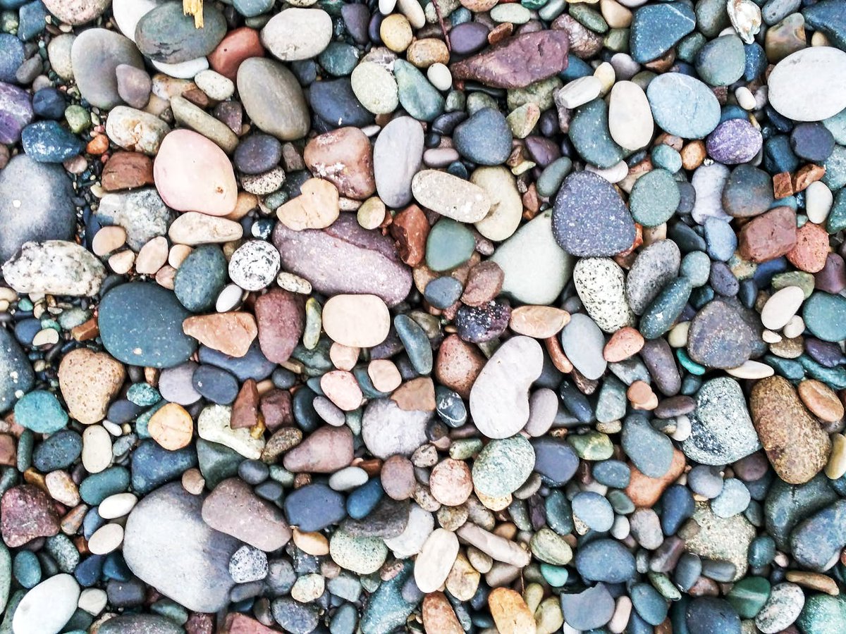 New poem "Proof by Contradiction" by Ali MacLeod:

"You, though —
   You could show up first to every party;
     You could arrive to work at 4 AM.
       You could sit down for Christmas dinner on Halloween and still..."

Image: Ir Solyanaya on pexels, CC 2.0.
#poetry#pangyrus