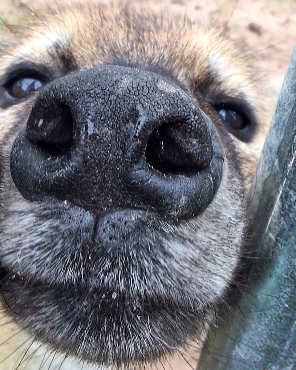 HourlyYeen's tweet photo. [🔗](https://t.co/CbQhMuvifs) https://t.co/BQc8MAFr0x