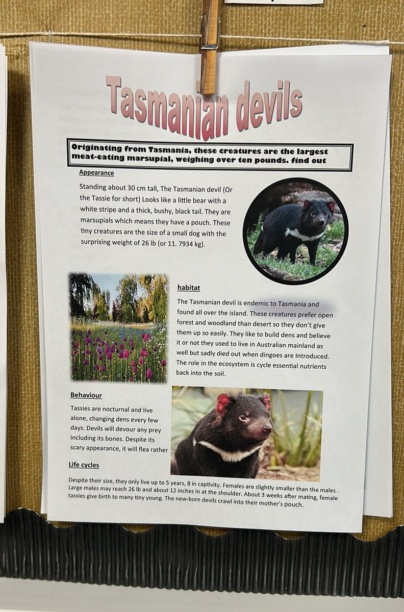 We have been in the computer suite this morning to type up our animal themed non-chronological reports.