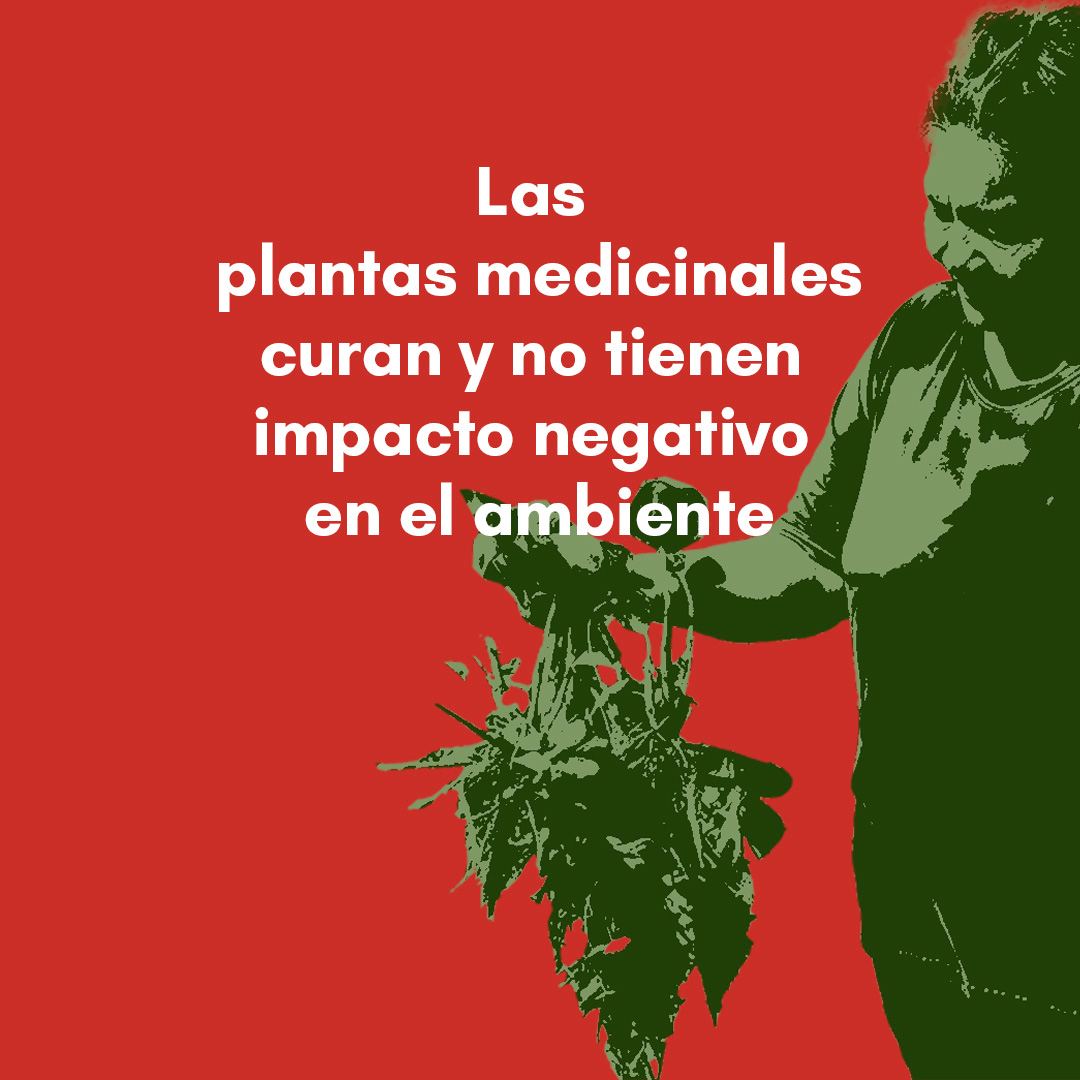 Grupo Sunu tweet media