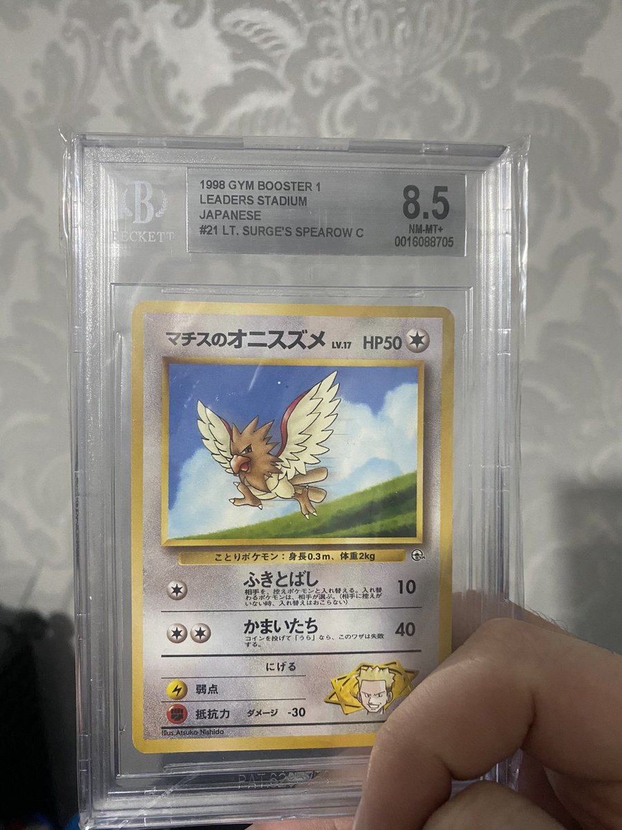 Meowth_King's tweet photo. Pokemon Giveaway 🎉 

Giving away 8.5 Japanese Graded Pokémon card

To Enter: 
1. Follow @ACCASTAWAY 
2. Retweet this post  ♻
3. Like This Post ❤️

Winner will be drawn in ONLY 4 days https://t.co/XkPUoDpA4A