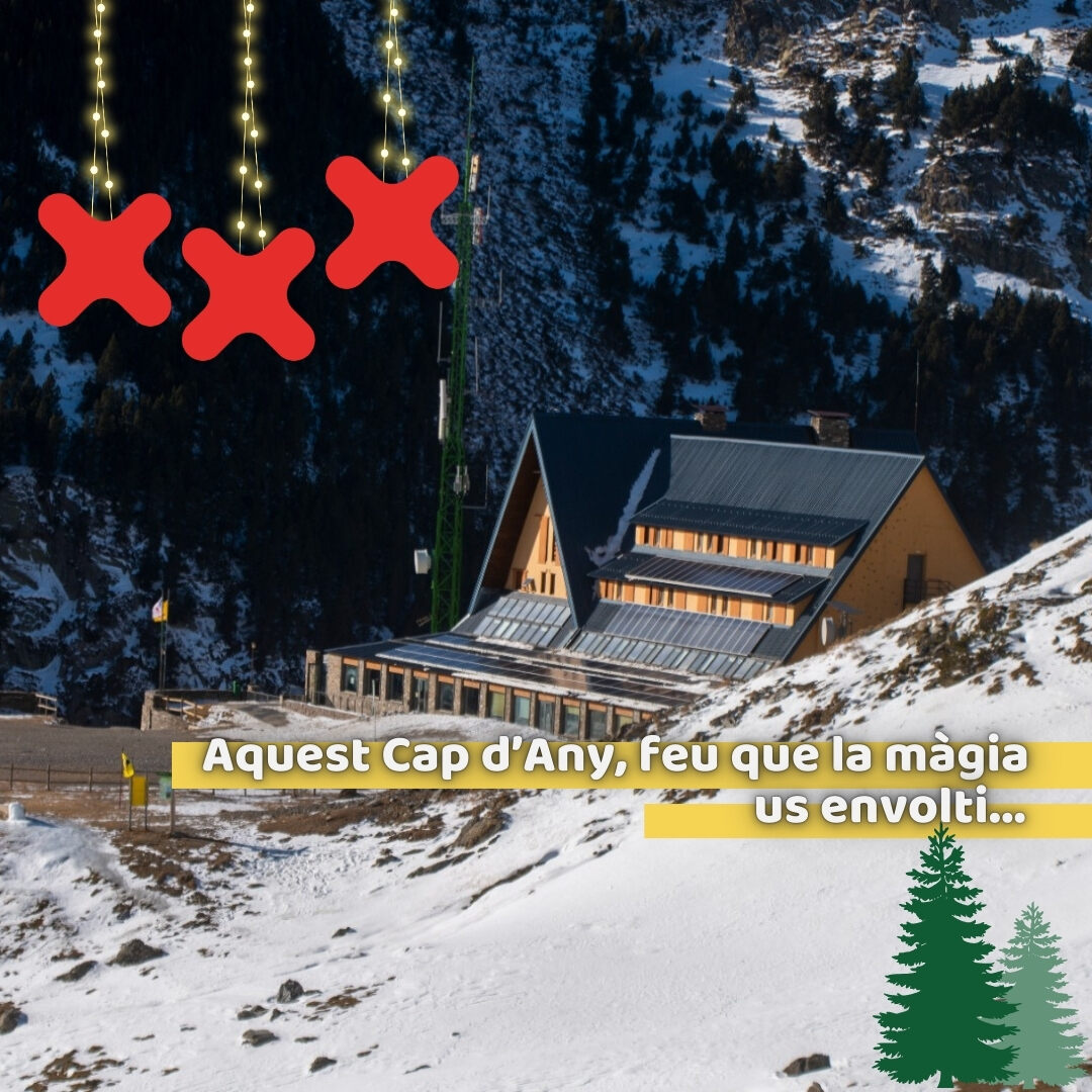 Xanascat's tweet photo. 🥂🎄 Passa un cap d'any inoblidable a l'Alberg Núria Xanascat 🏡🎅
✨ Anima't i vine a passar la revetlla de cap d'any a un dels Albergs Xanascat més espectaculars! 🏔️❄️
🔗 https://t.co/wEASmNQ7lA
#Xanascat https://t.co/YjIhPTd7Je