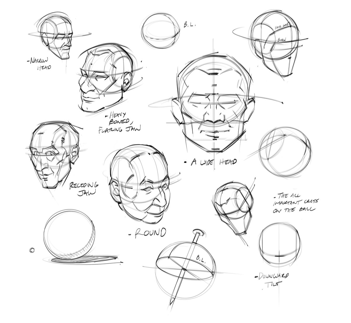 saqomolo's tweet photo. Morning Loomis studies! A great way to learn how to construct the head. #andrewloomis #figuredrawing #gottogetbetter #sketches #lineart #doodles #headconstruction #gesturedrawing #anatomy #humanantomy #facetypes #goals https://t.co/PrDKegfv70