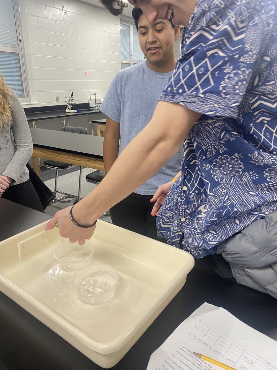 Visualizing the impact of mutations on water transfer “proteins” in DC Bio. today! Will they be helpful, harmful, or neutral?