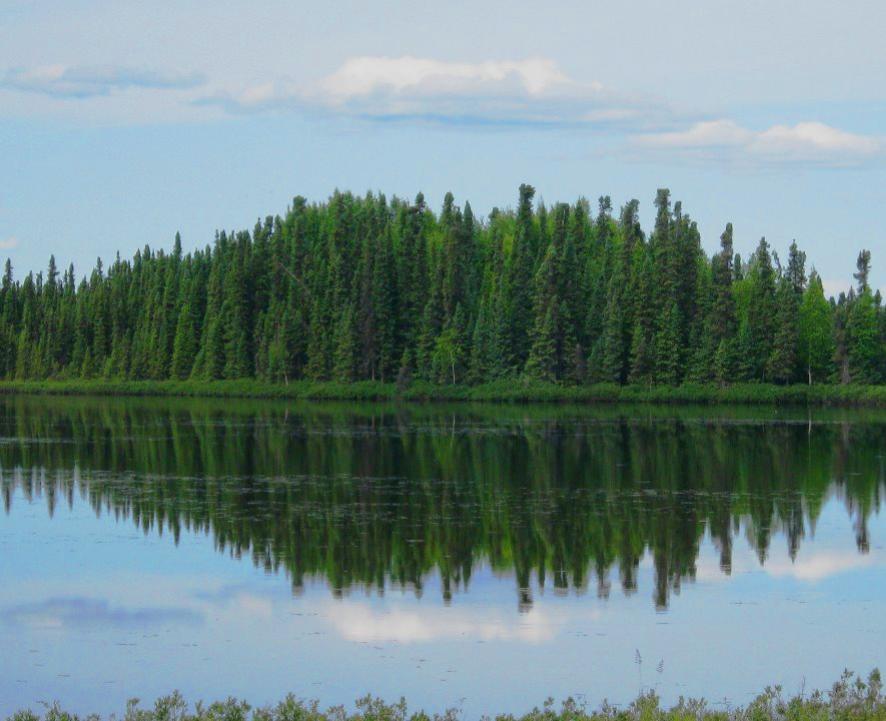 I love seeing symmetry and contrasts in nature. There are so many views, so many moments I wish I could capture and hold onto. So, I take snapshots of those beautiful flickers in time, small reminders of life and joy.

-Photo location: Somewhere in Alaska between Anchorage and